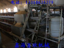 山东日照与五莲自动喂料机 机械设备研发的技术突破与应用前景